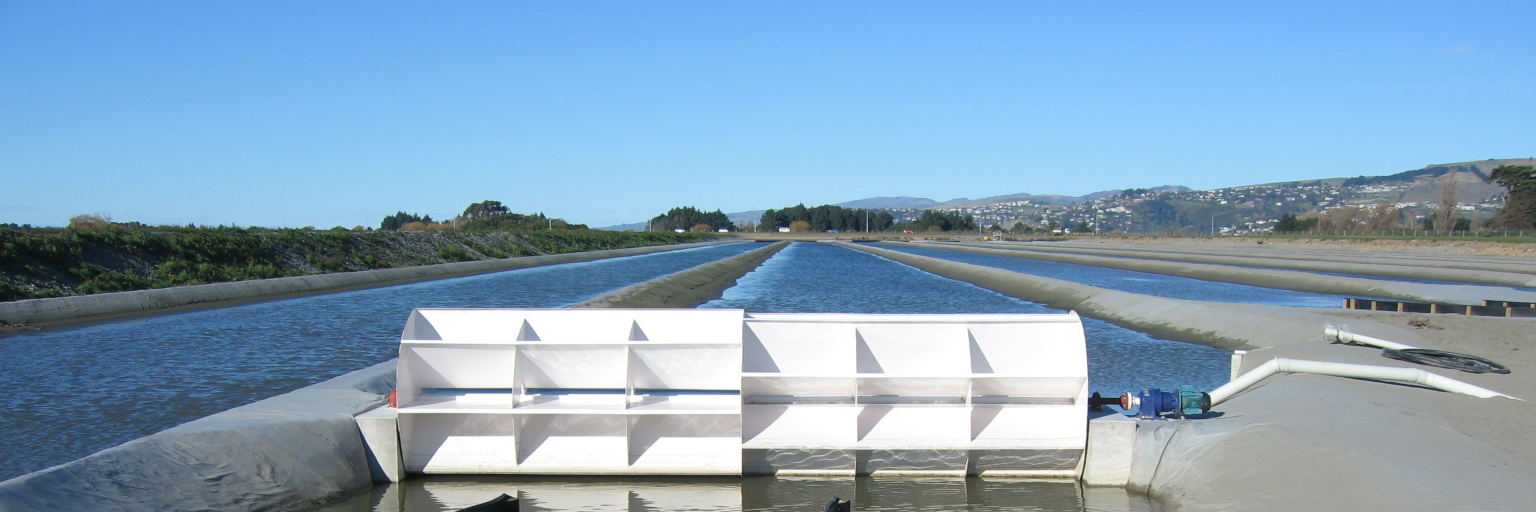 High rate algae pond at the Christchurch sewage treatment plant, 2008.